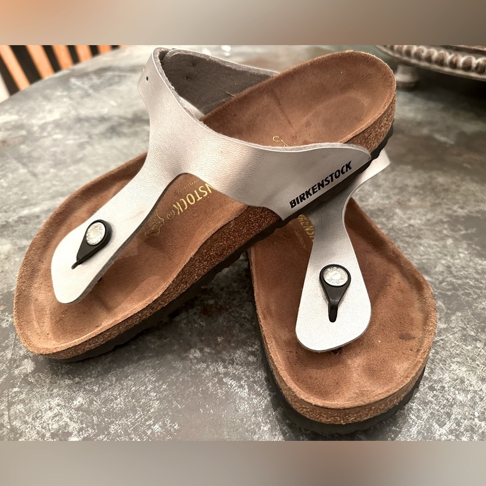 Birkenstock Silver and Brown Sandals (matte)